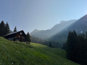 Top 130 Farewell Captions For Instagram & Quotes 2025 red-gana-top-9654874_960_720.jpg